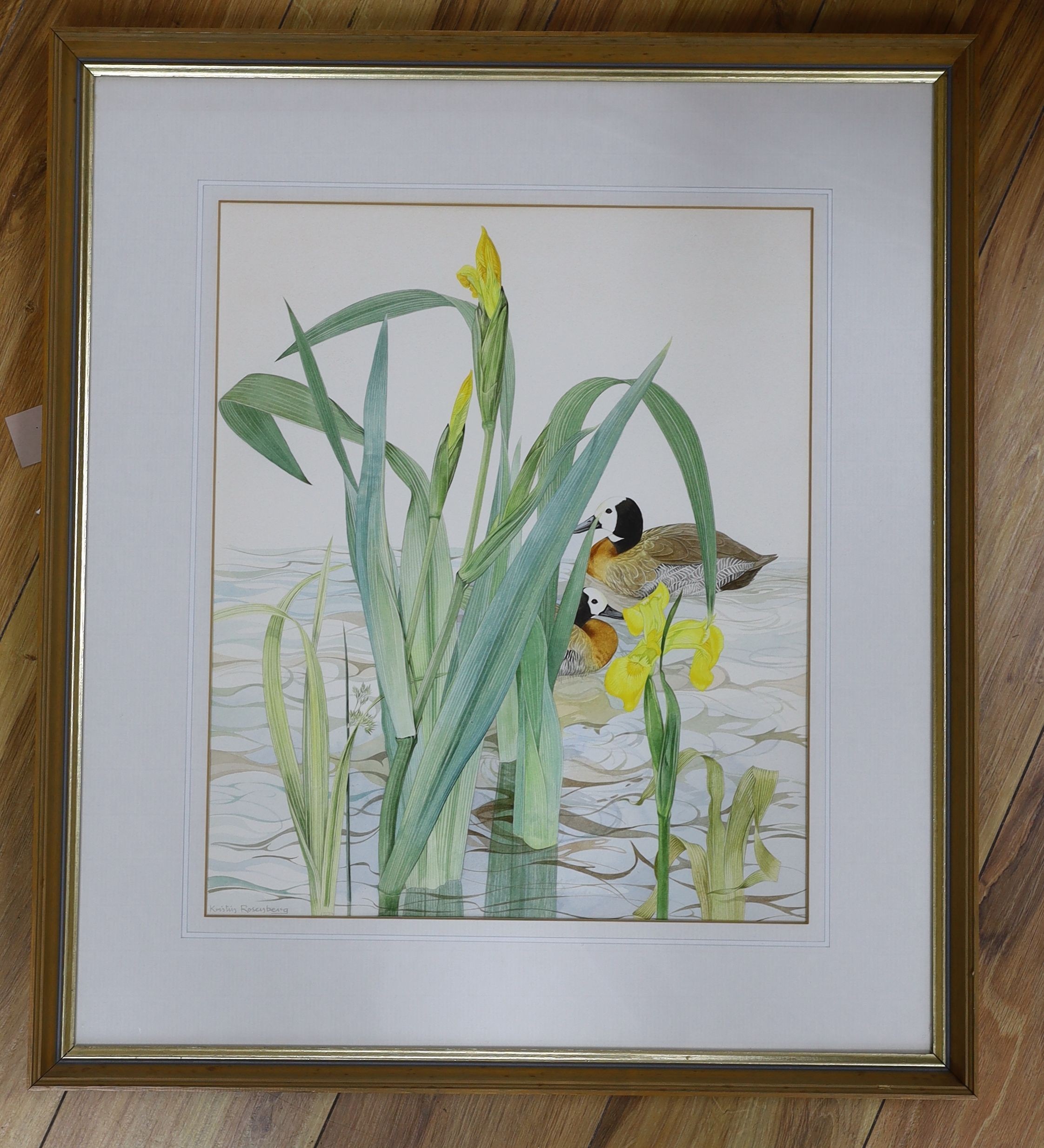 Kristen Rosenberg (b.1933), watercolour, Ducks and yellow irises, signed, 46 x 38cm